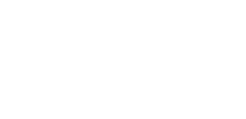 Vesalius3D